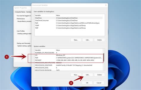 Image result for Path Variable Windows 11