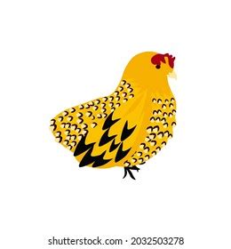 Image result for Chicken Recipe Cooking Tutorial