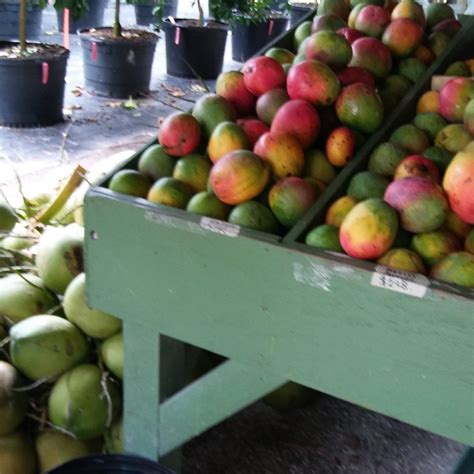 FRUITSCAPE (2026) All You Need to Know BEFORE You Go (with Photos ...