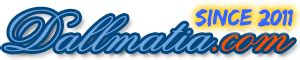 Dallmatia.com since 2011 - Special offers