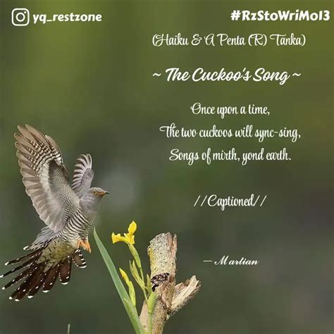 (Haiku & A Penta (R) Tank... | Quotes & Writings by Martian Mirth ...