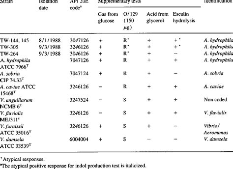 Image result for API 20E System