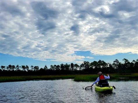 Round River Kayak Adventures - Gulfport | Tripadvisor