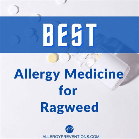 Tea For Ragweed Allergies at Randall Graves blog