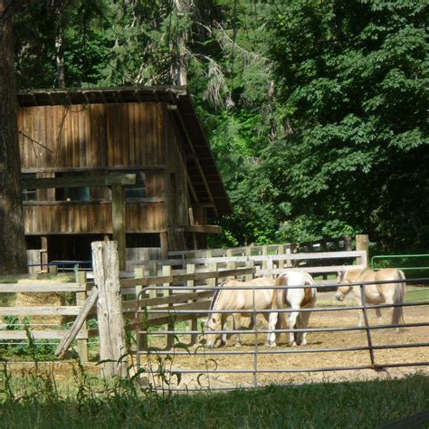 STEHEKIN VALLEY RANCH (North Cascades National Park) - Campground ...