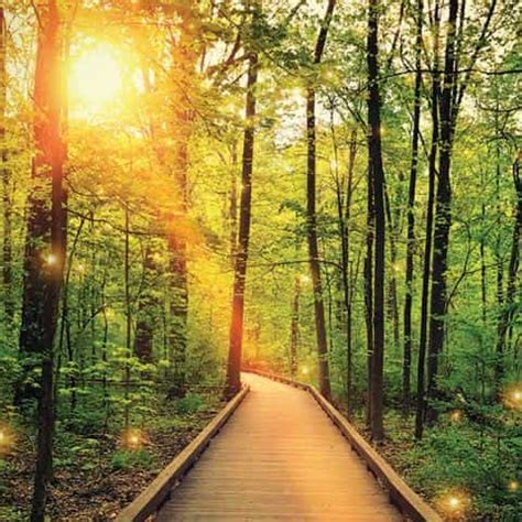 Image result for Holiday Unity Map