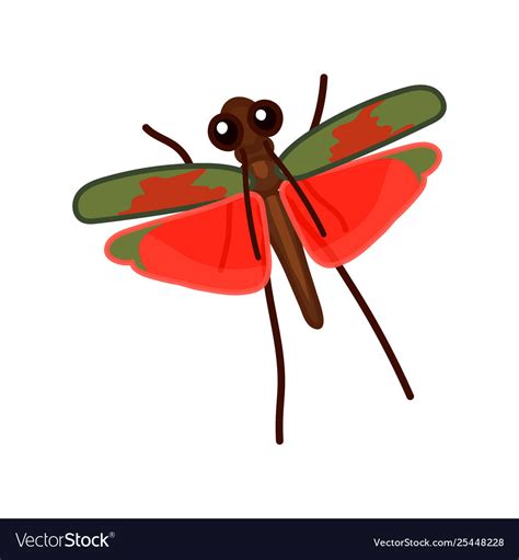 Insect Cartoon 的图像结果