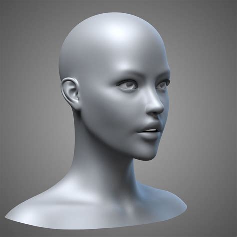 Female Head Free 3D Model at Jamie Brian blog