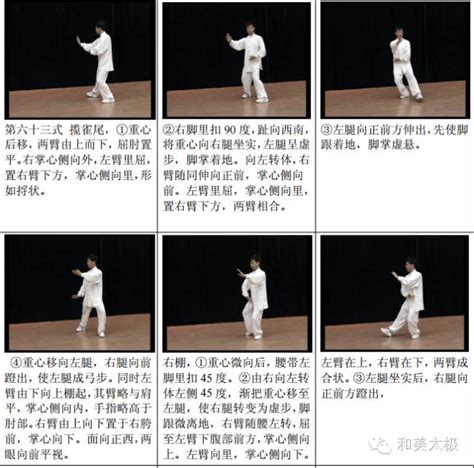 杨军老师示范：图文详解传统杨氏太极拳 103 式