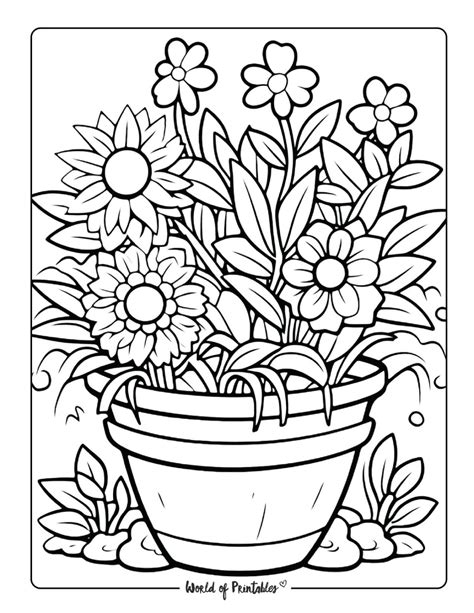 Garden Colouring In Pages