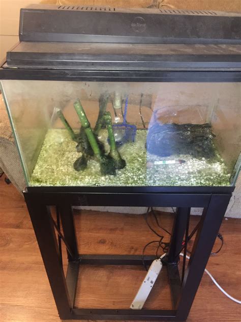 15 gallon fish tank [aquarium] for Sale in Greenville, SC - OfferUp