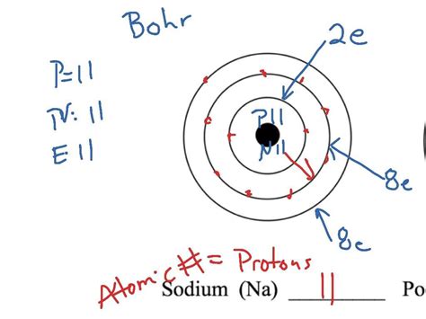 Bohr-Rutherford 的图像结果