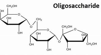 oligosaccharide 的图像结果