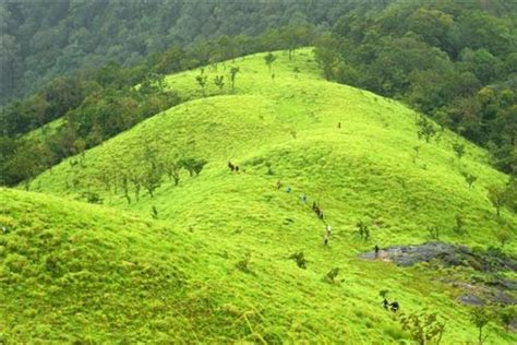 Kudremukh National Park Near Udupi, National Parks in Udupi
