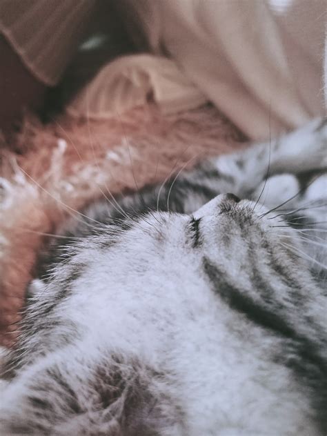 Win32Exception Troubleshooting 的图像结果