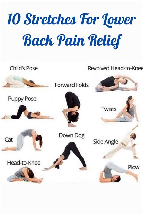 Image result for Lower Back Pain Exercise