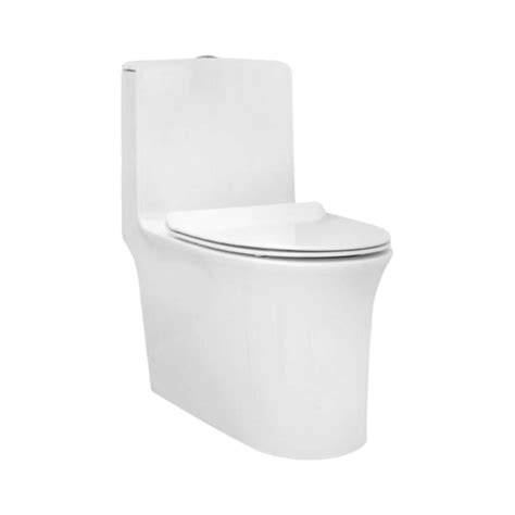 Parryware Floor Mounted White 1 Piece Wc Aquiline Aquiline With S-Trap ...