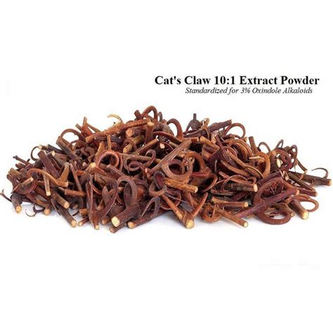 Cat's Claw Extract Powder 3% Antioxidant Immune System Anti ...