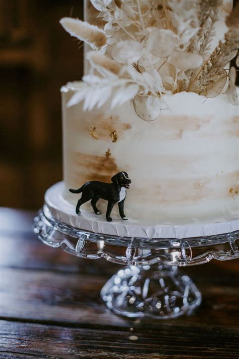 7 Ways to Incorporate your Dog in your Wedding — Erika El Photography - Wedding and Elopement ...