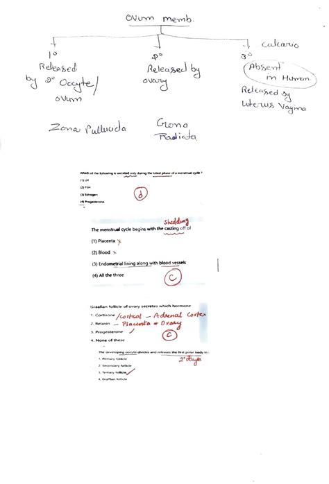 Class 12 Reproduction Videos 的图像结果