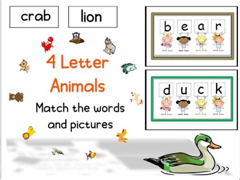 4 Letter Animals Word + Picture Matching | Teaching Resources