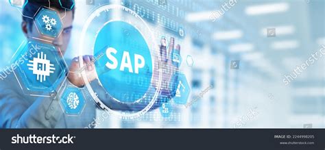 Image result for SAP Computer Program