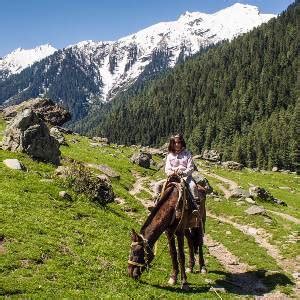 Himalayan Paradise - Travel Agency