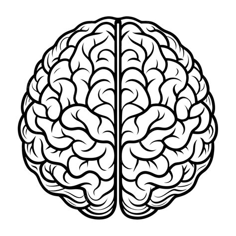 Brain Outline