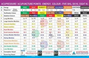 Acupressure Meridian Su - Point / Six Ki Chart Paper Print ...