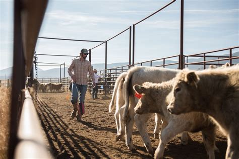 Powering The Restoration Economy And Rural Jobs - Trout Unlimited