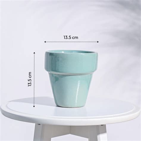 The Dream Ceramic Pot – Ugaoo