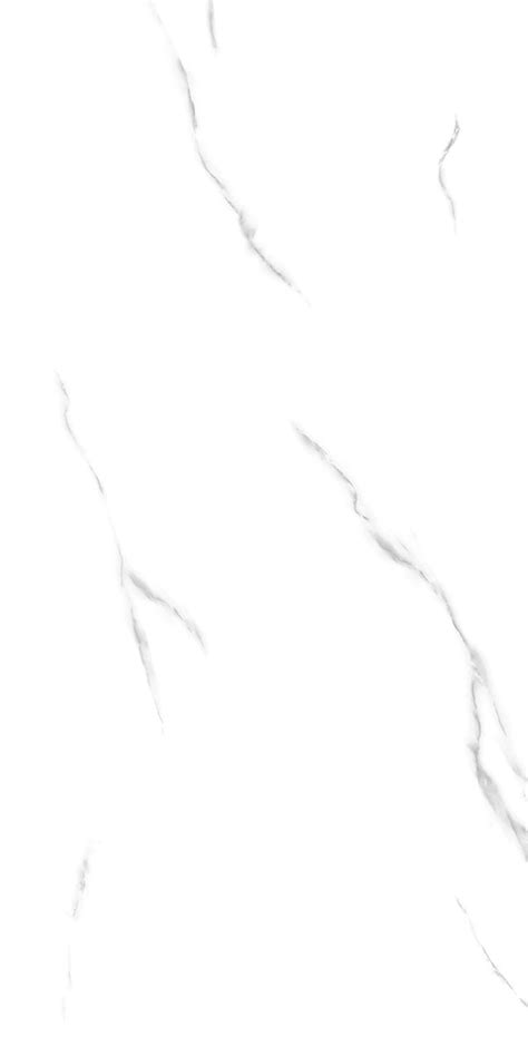 600x1200mm GVT/PGVT tiles – 600x1200mm matt porcelain tiles