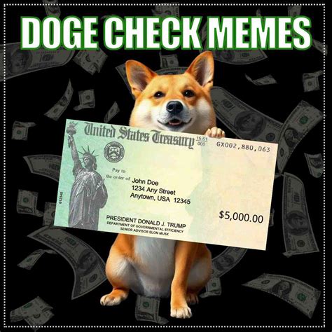 What happen to all the DOGE money?