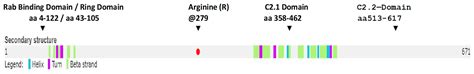 High Functioning Autism with Missense Mutations in Synaptotagmin-Like ...