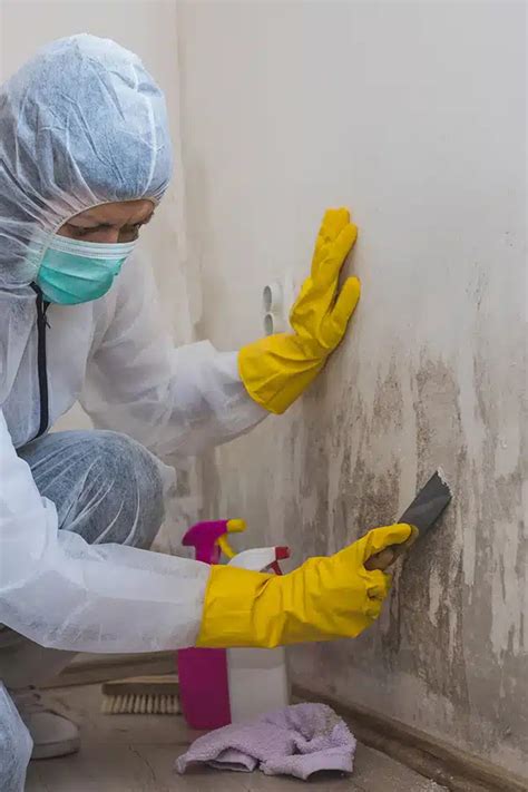 Image result for Mold Testing Philadelphia