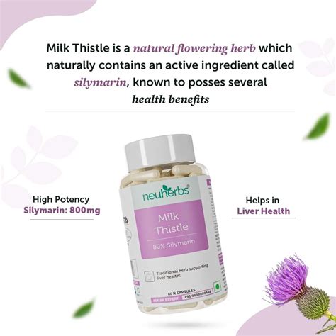 Neuherbs Milk Thistle 80% Silymarin Liver Detox 800 mg, 60 Capsules ...