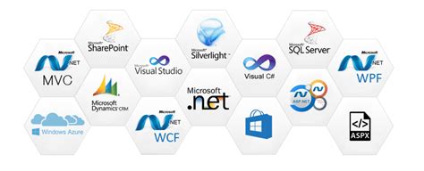 Hire Developer : Microsoft .Net Programmers / Developers USA And Europe