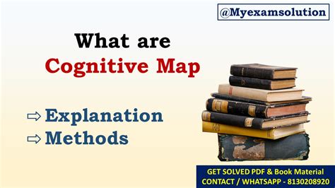 Cognitive Map 的图像结果