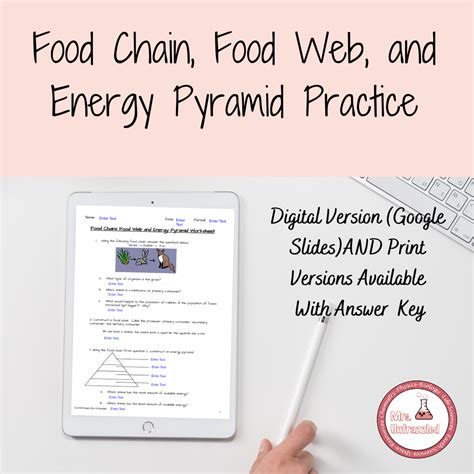 Distance Learning: Food Chain, Food Web, Energy Pyramid Practice ...