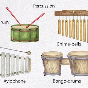 Image result for percussion instruments