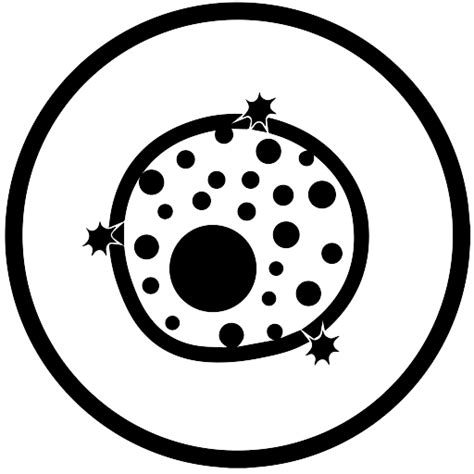 Best Herbal Shop Online | Herbs And Health