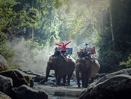 South Coast, Kosgoda, Balapitiya & Colombo Holiday Packages at best Price