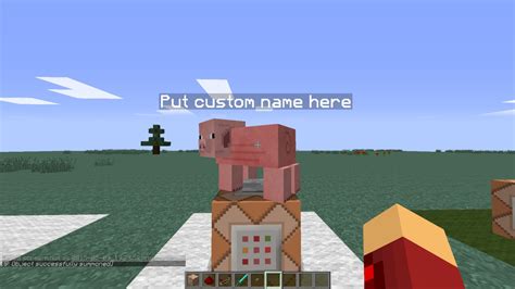 Command to Be Animal Minecraft Java 的图像结果