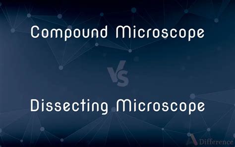 Image result for Compound vs Dissecting Microscope