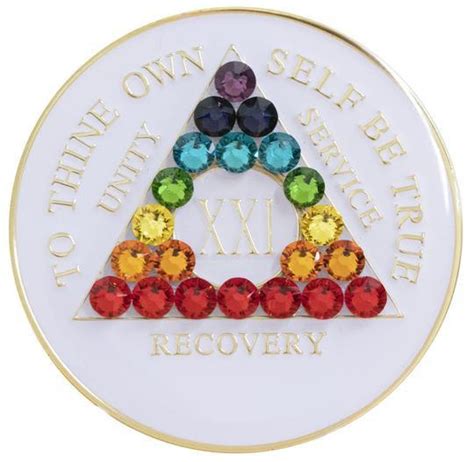 Image result for Addiction Recovery Chip