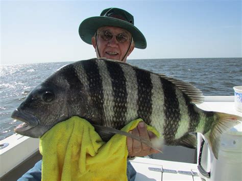 OVERDRAWN CHARTERS (2026) All You Need to Know BEFORE You Go (with ...