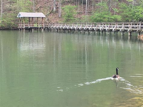 Steele Creek Park Tn