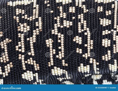 Close-up, Macro of the Argentine Black and White Tegu Skin Stock Image ...