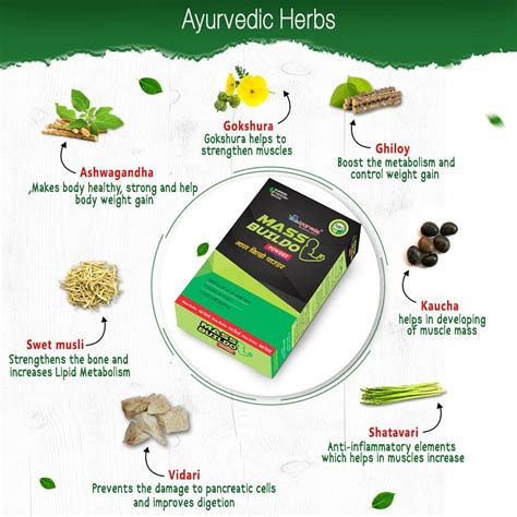 Mass Buildo | Muscle Gain Powder | Supplements For Muscle Gain