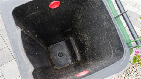 What Kills Maggots In Garbage Cans at Ryder Sidaway blog